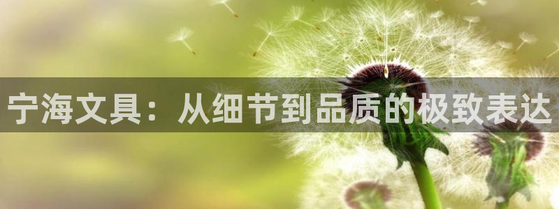 天顺娱乐主管方是谁