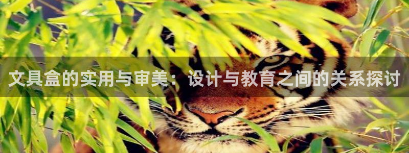 天顺娱乐q53553：文具盒的实用与审美