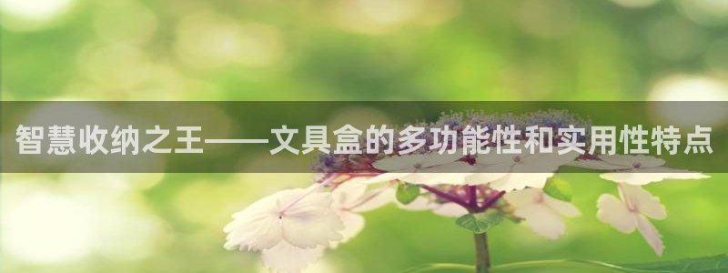 天顺娱乐达q96303：智慧收纳之王——