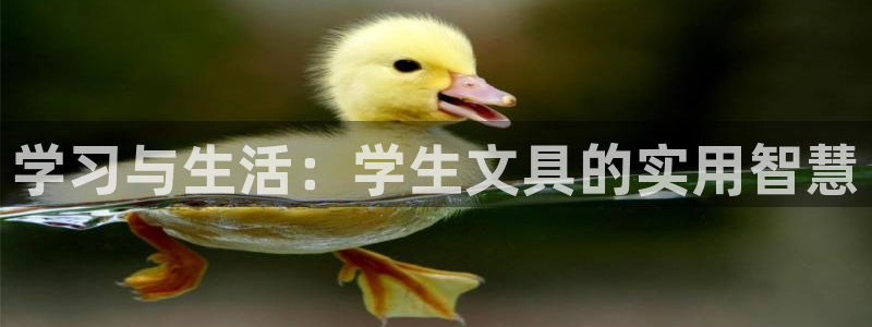 天顺娱乐注册：学习与生活：学生文具的实用