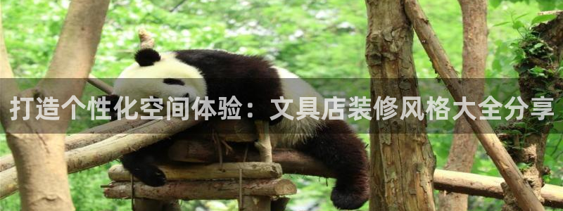 天顺娱乐官方：打造个性化空间体验：文具店