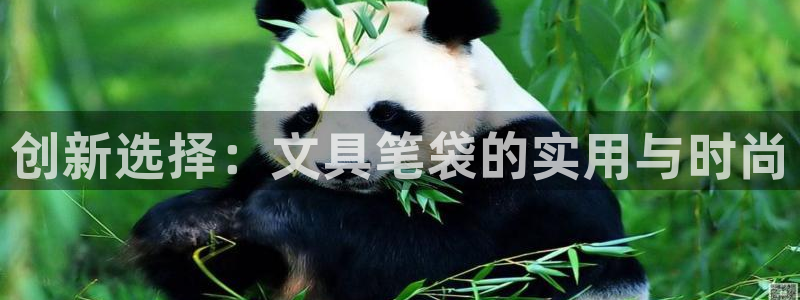 天顺娱乐列943994：创新选择：文具笔