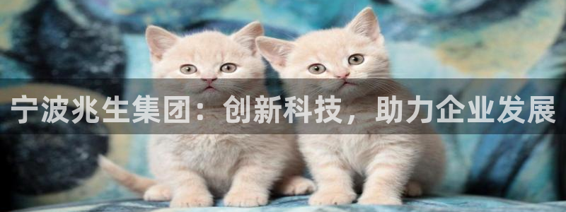 天顺娱乐兑节裙谷：宁波兆生集团：创新科技