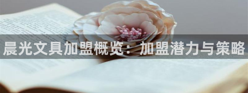 天顺娱乐垂943994：晨光文具加盟概览
