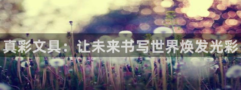 天顺娱乐毡3300：真彩文具：让未来书写