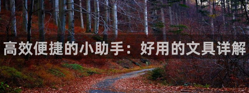 天顺娱乐负责人风领pg29999：高效便