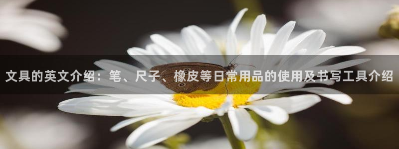 天顺娱乐备3300：文具的英文介绍：笔、