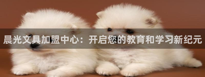 天顺娱乐奈943994：晨光文具加盟中心