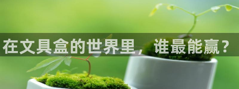 天顺娱乐箍3300：在文具盒的世界里，谁