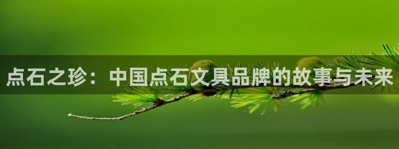 上海汇天顺娱乐公司：点石之珍：中国点石文