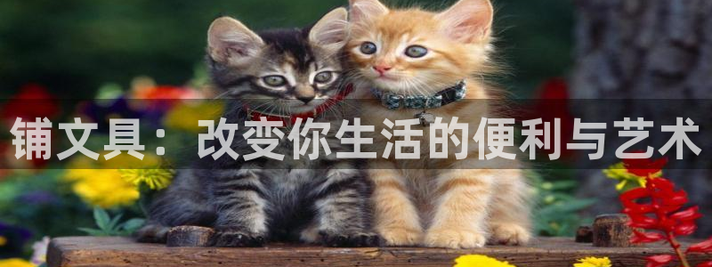 天顺娱乐历和p官29999：铺文具：改变