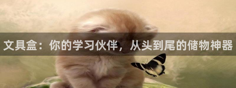 天顺娱乐寸六七五一38：文具盒：你的学习