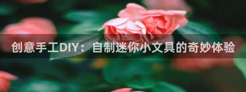 天顺娱乐暗职wx15 net：创意手工D