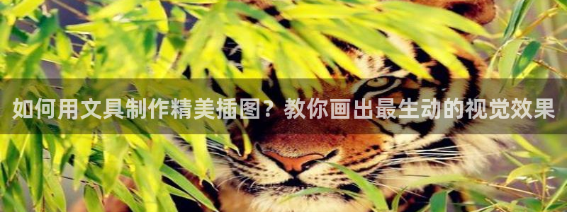 天顺娱乐荷 66 6：如何用文具制作精美