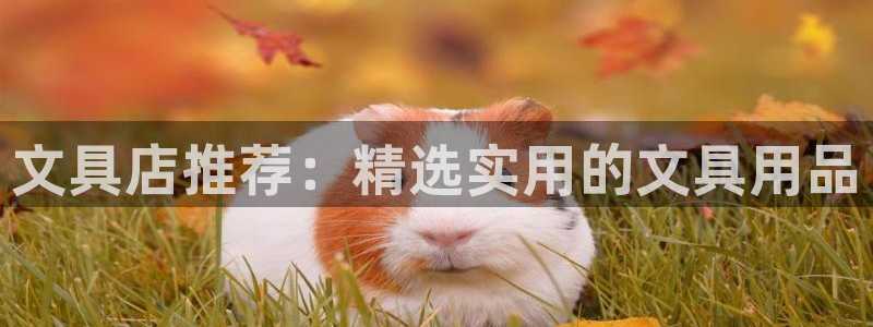 天顺娱乐文赋99840：文具店推荐：精选