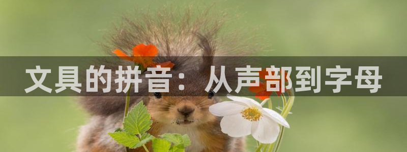 天顺娱乐巾v96303：文具的拼音：从声