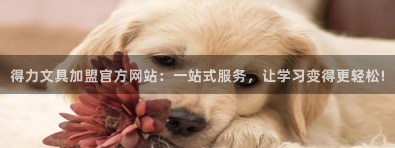 天顺娱乐捌：得力文具加盟官方网站：一站式