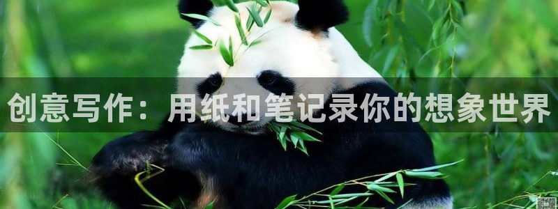 天顺娱乐撩943994：创意写作：用纸和