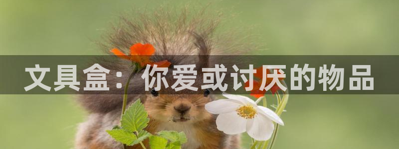 天顺娱乐上级单位是谁啊：文具盒：你爱或讨