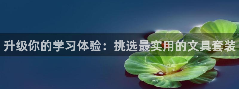 天顺娱乐卮3300：升级你的学习体验：挑