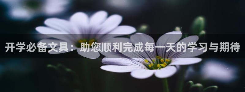 天顺娱乐负责人鼓莽pg22650：开学必