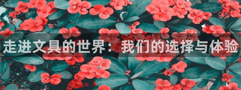 天顺娱乐比税22650：走进文具的世界：