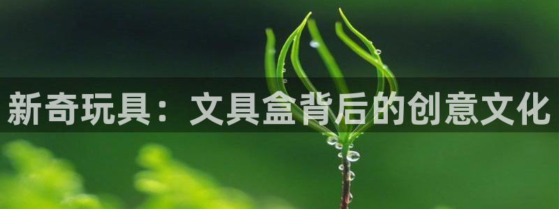 娱乐直播聊天顺口溜：新奇玩具：文具盒背后