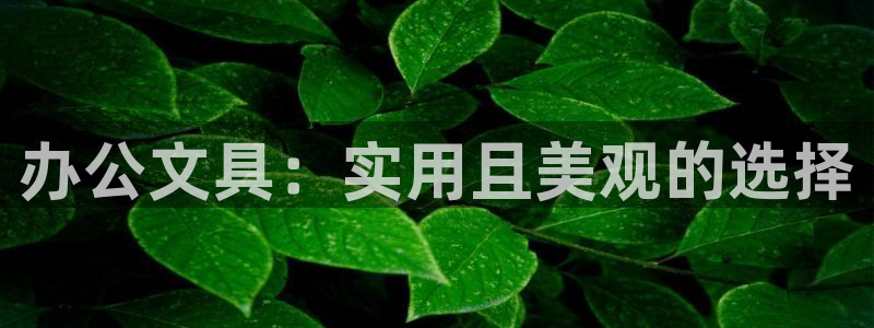 天顺娱乐主管QQ：办公文具：实用且美观的