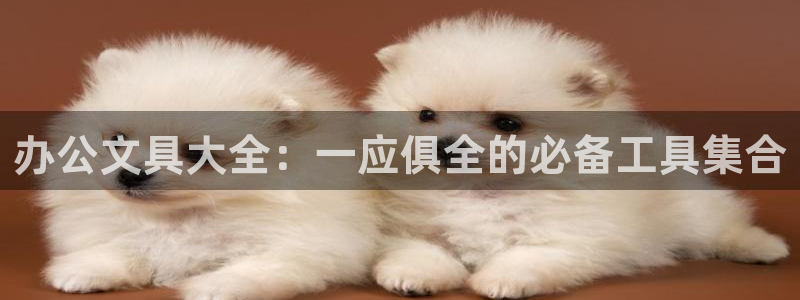 天顺娱乐是什么：办公文具大全：一应俱全的