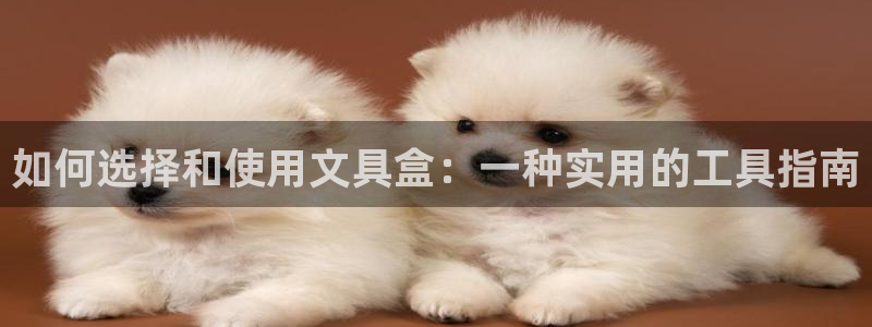 天顺娱乐台球：如何选择和使用文具盒：一种