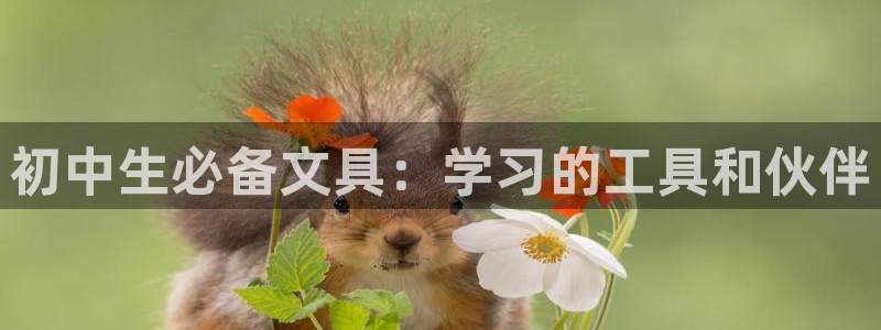 天顺娱乐丩金手指专业5：初中生必备文具：