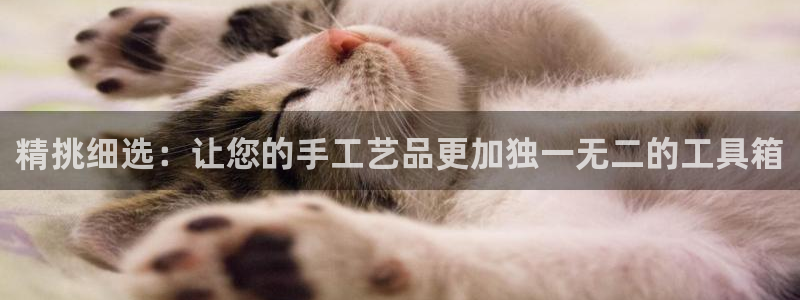 天顺娱乐乃67五壹叁八：精挑细选：让您的