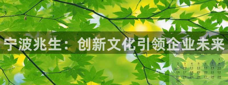 天顺娱乐主管可以转正吗：宁波兆生：创新文