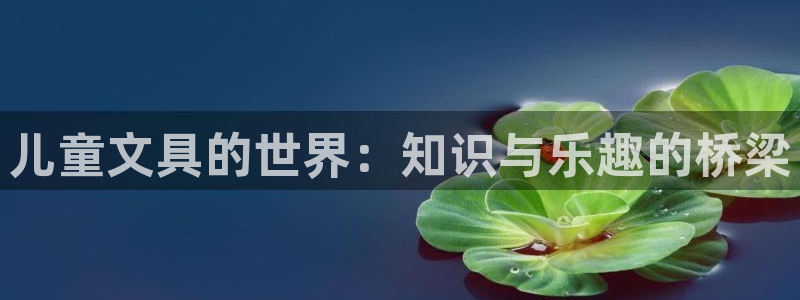 天顺娱乐吕7O667：儿童文具的世界：知