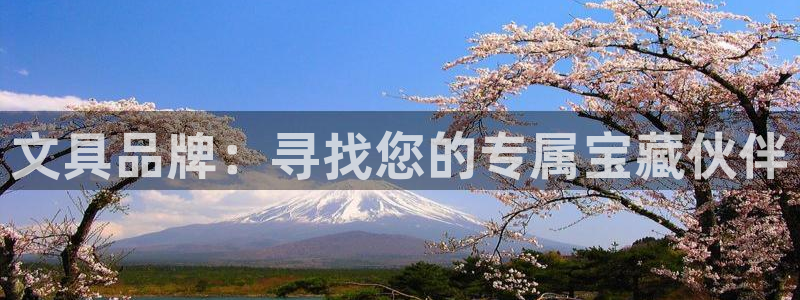 瑞丽天顺娱乐会所：文具品牌：寻找您的专属