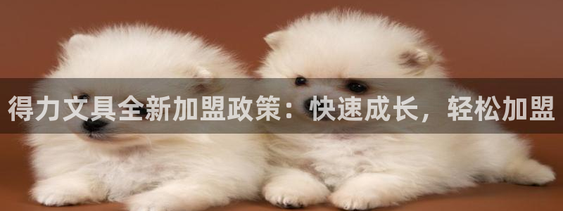 天顺娱乐硬943994：得力文具全新加盟