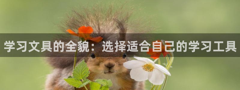 天顺娱乐阝税29999：学习文具的全貌：